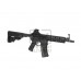 AM-008 EFCS