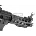 AM-009 EFCS