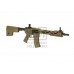 AM-009 EFCS