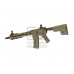 AM-009 EFCS