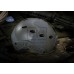 Casca Emerson FAST Helmet PJ Eco Version Foliage Green